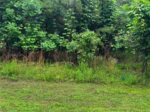 Vacant Land For Sale - 82A2 Safety Harbor Road<br/> Oconee County, West Union, SC 29696