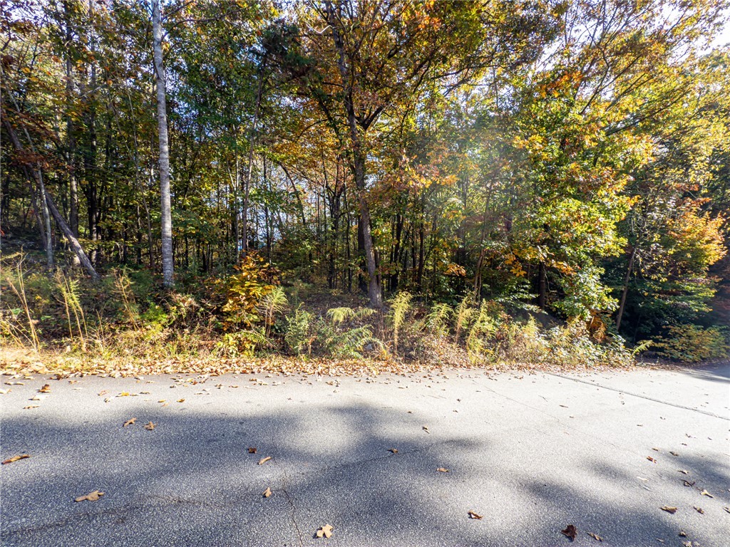 00 Bay Drive, Fair Play, South Carolina image 14