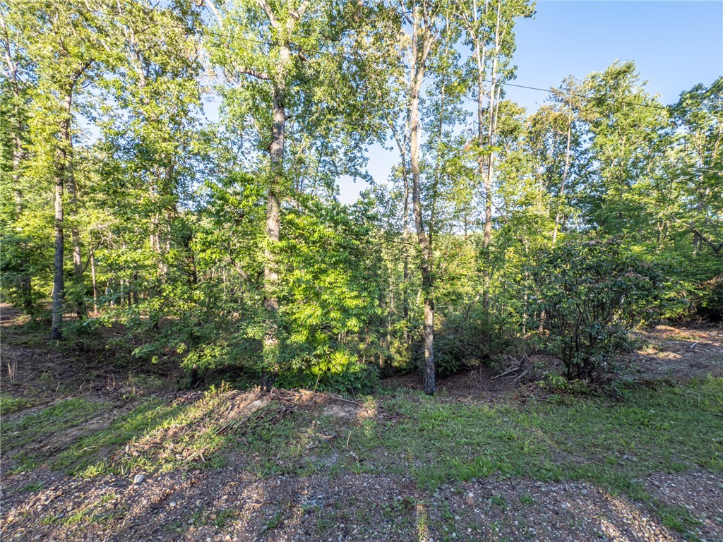 Lot 21 Old Shallowford Bridge Road, Sunset, South Carolina image 2
