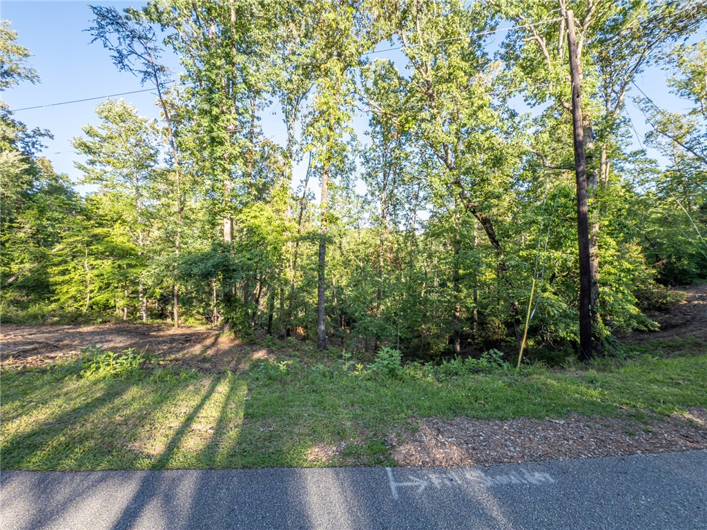 Lot 21 Old Shallowford Bridge Road, Sunset, South Carolina image 1