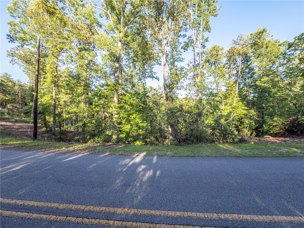 Lot 21 Old Shallowford Bridge Road, Sunset, South Carolina image 3