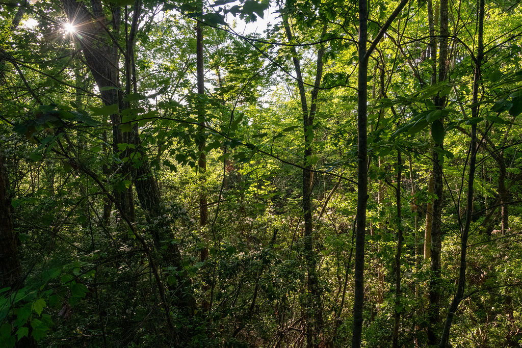260 Eastatoe Parkway, Sunset, South Carolina image 16