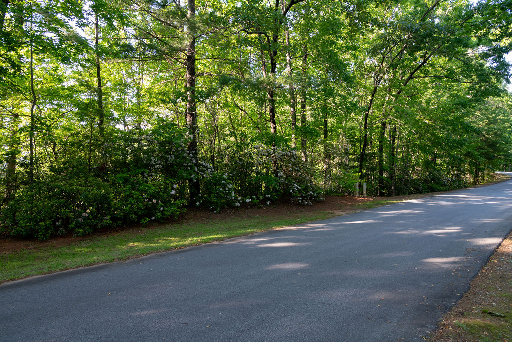 260 Eastatoe Parkway, Sunset, South Carolina image 10