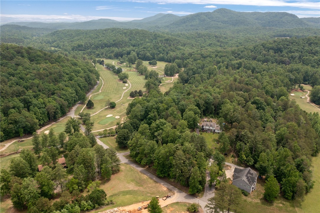 101 Broken Bow Run, Pickens, South Carolina image 40