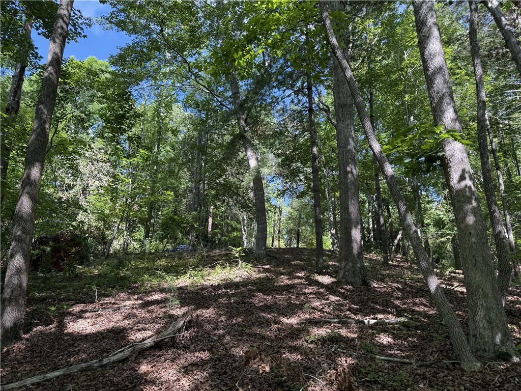 601 Wind Flower Drive, Sunset, South Carolina image 8