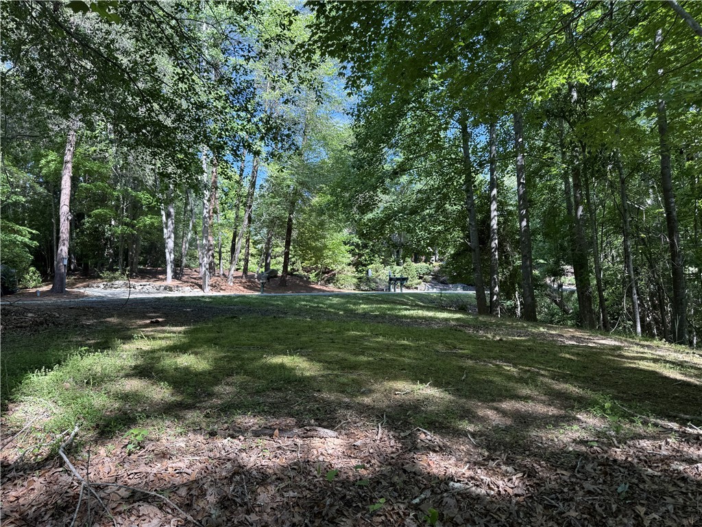 601 Wind Flower Drive, Sunset, South Carolina image 9