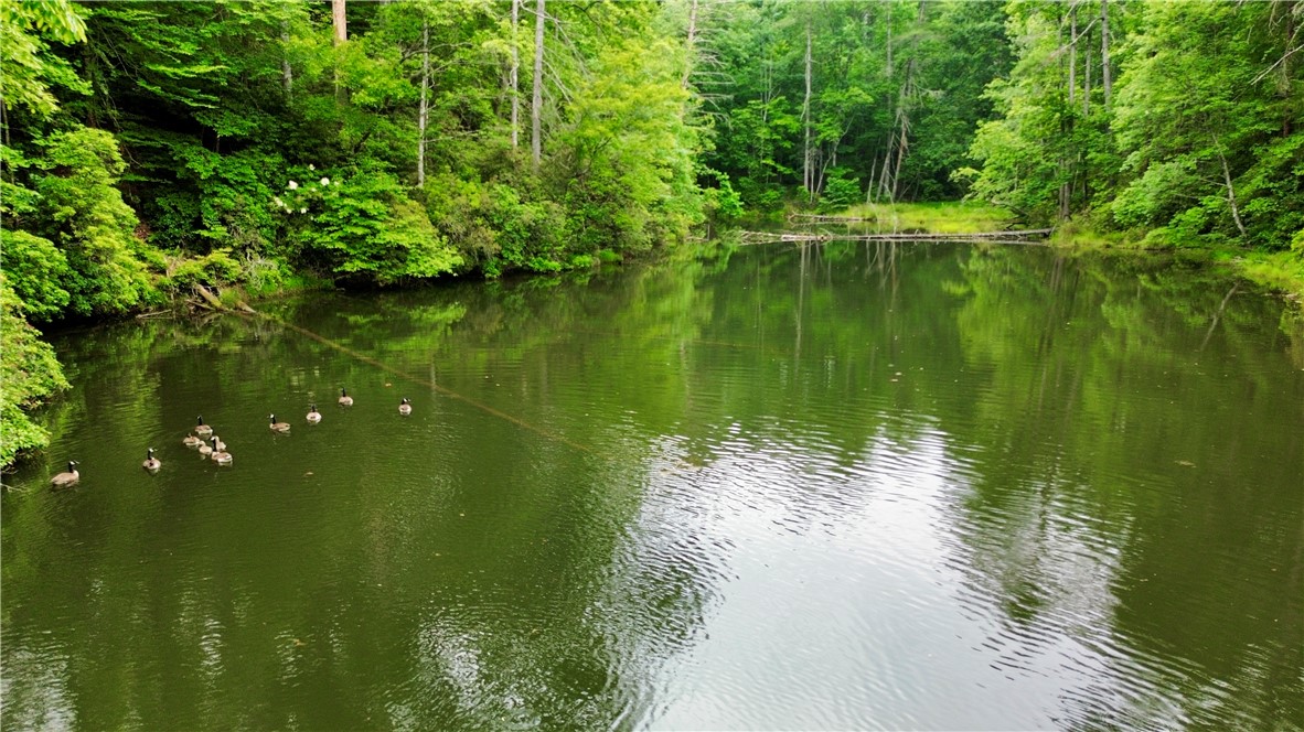 Lot #78 Inland Trail, Salem, South Carolina image 2