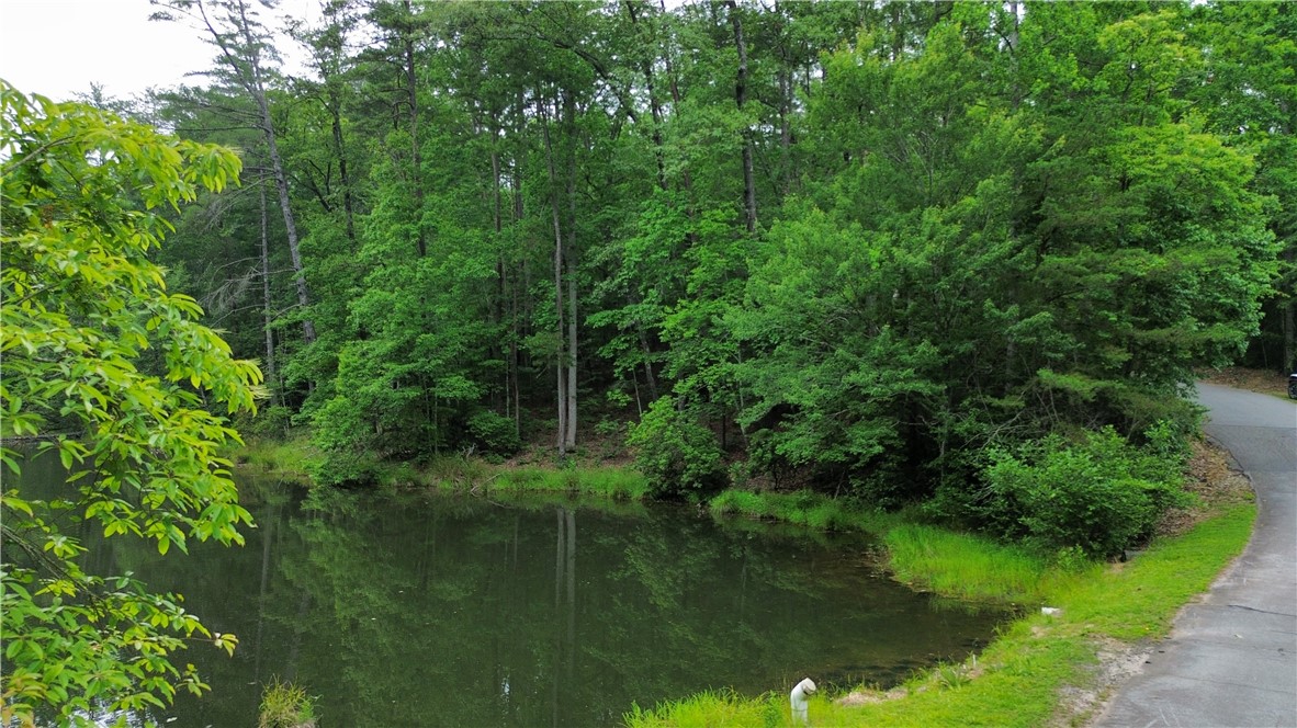 Lot #78 Inland Trail, Salem, South Carolina image 6
