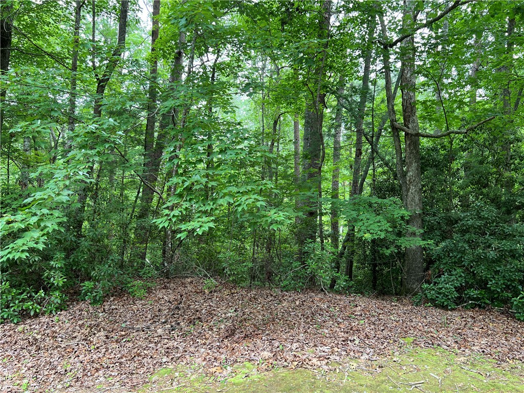 Lot #78 Inland Trail, Salem, South Carolina image 8