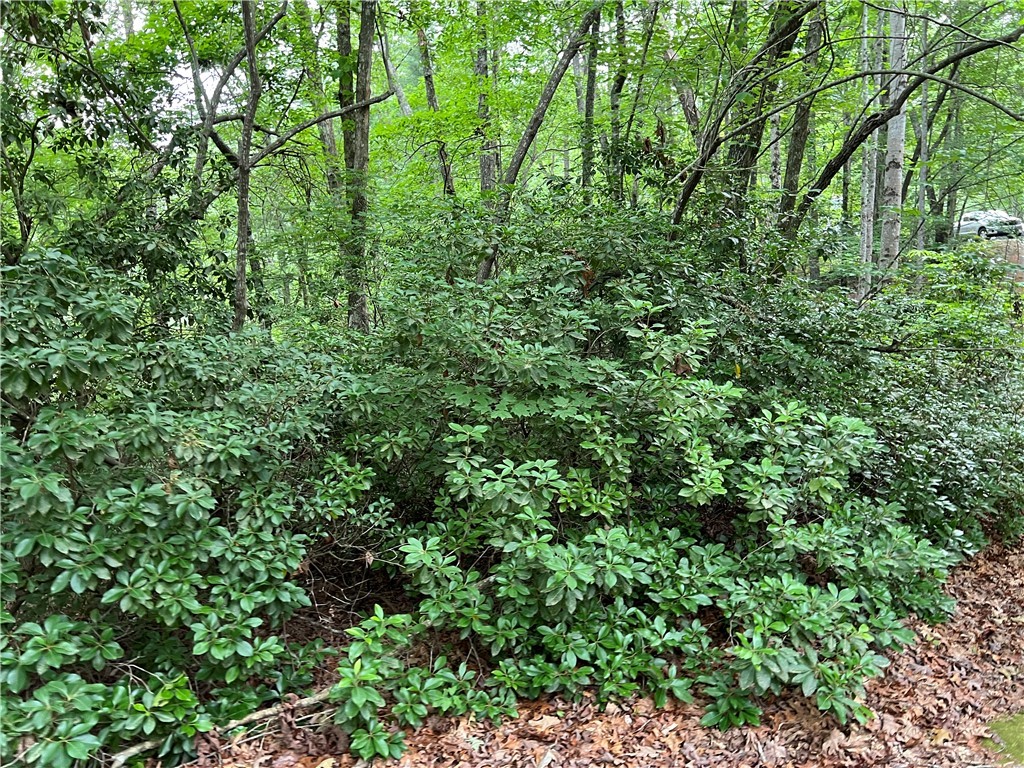 Lot #78 Inland Trail, Salem, South Carolina image 10