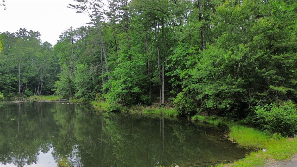Lot #78 Inland Trail, Salem, South Carolina image 5