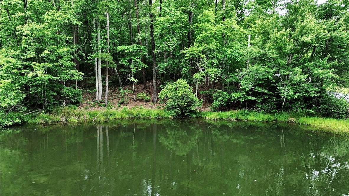 Lot #78 Inland Trail, Salem, South Carolina image 1