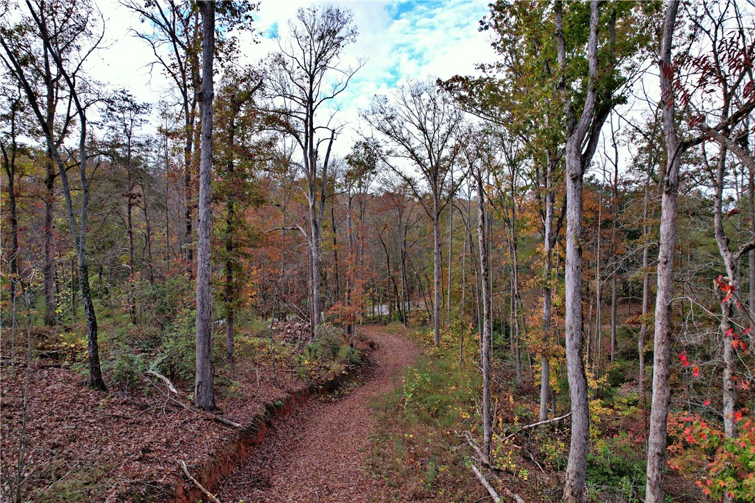 0000 Moorefield Memorial Highway, Pickens, South Carolina image 9