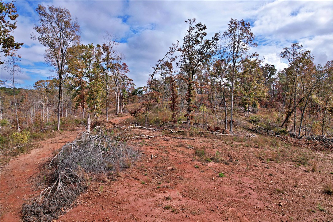 0000 Moorefield Memorial Highway, Pickens, South Carolina image 15