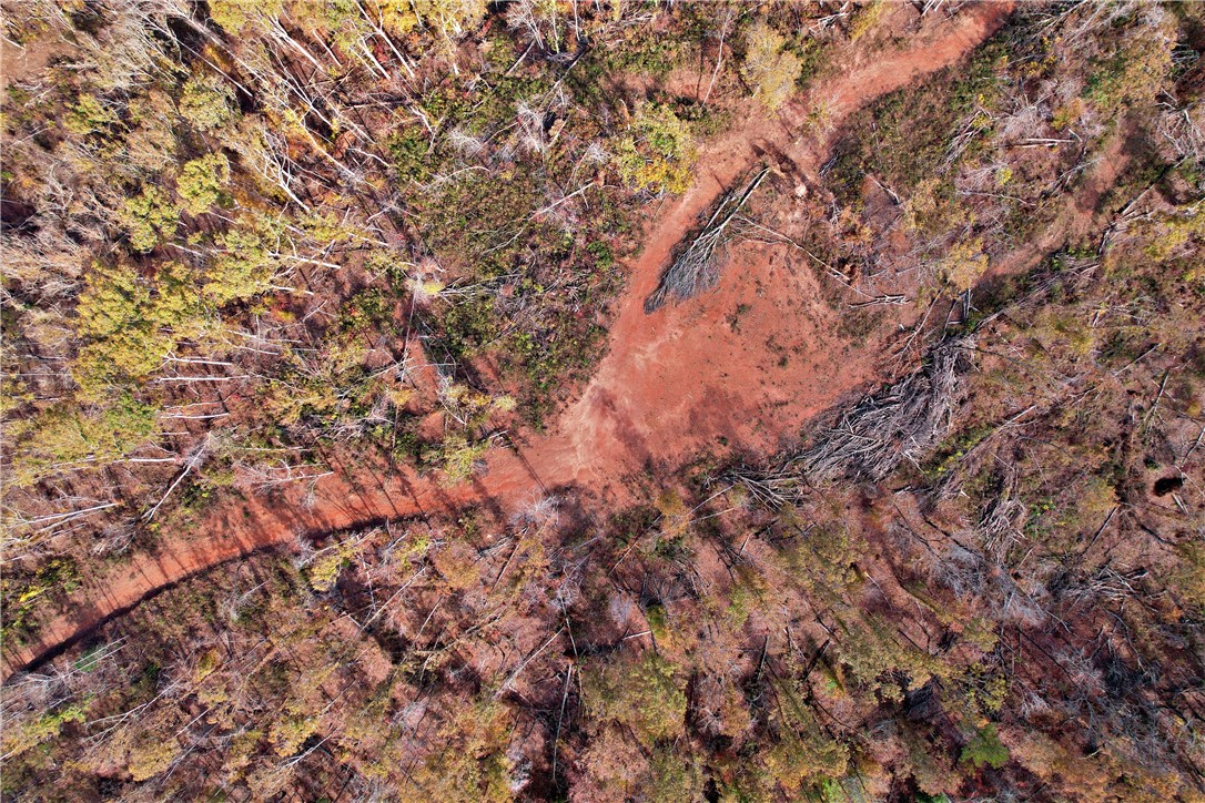 0000 Moorefield Memorial Highway, Pickens, South Carolina image 11