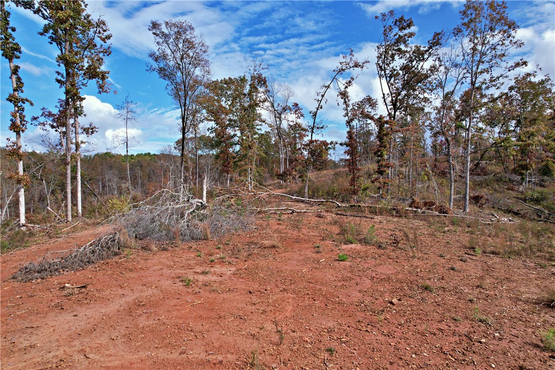 0000 Moorefield Memorial Highway, Pickens, South Carolina image 18