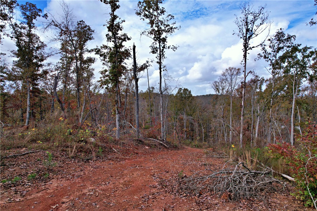 0000 Moorefield Memorial Highway, Pickens, South Carolina image 6