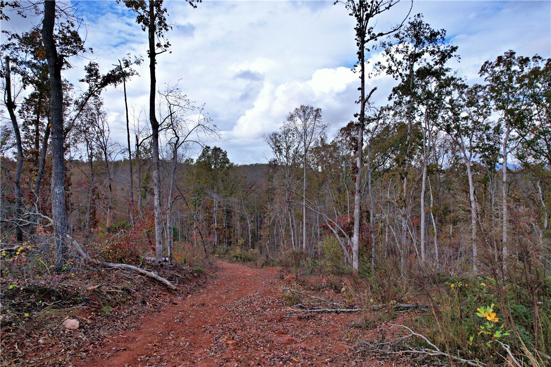 0000 Moorefield Memorial Highway, Pickens, South Carolina image 7