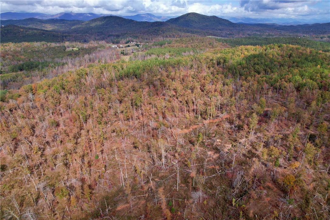 0000 Moorefield Memorial Highway, Pickens, South Carolina image 19