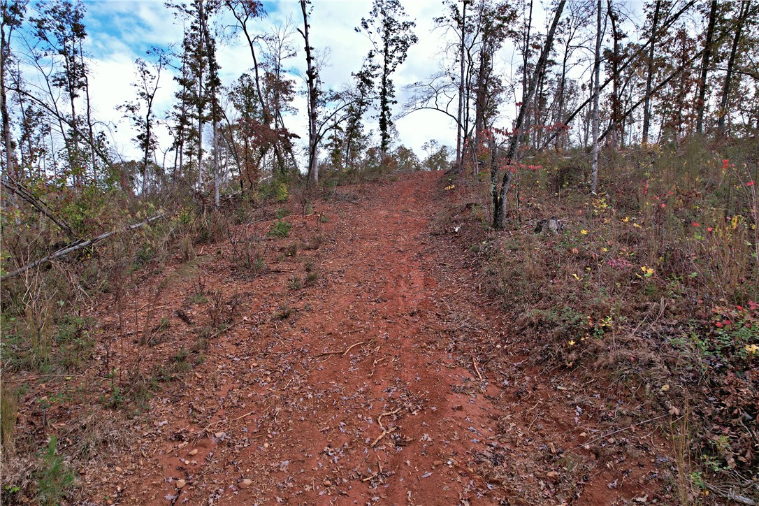 0000 Moorefield Memorial Highway, Pickens, South Carolina image 8