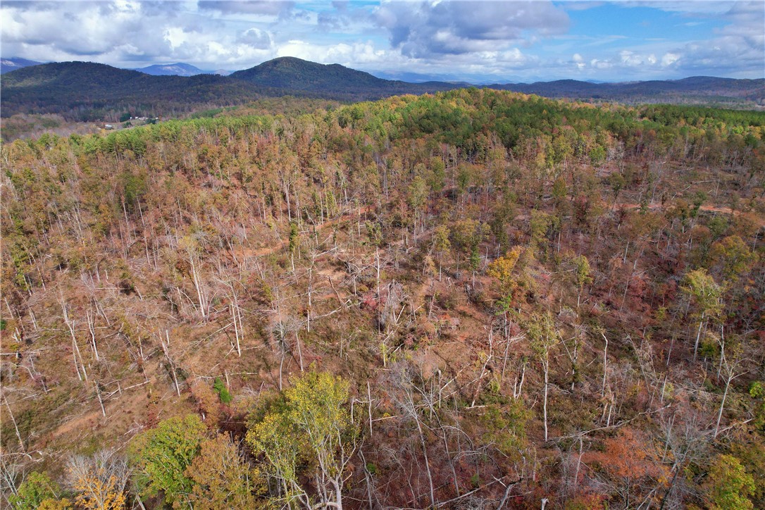 0000 Moorefield Memorial Highway, Pickens, South Carolina image 1