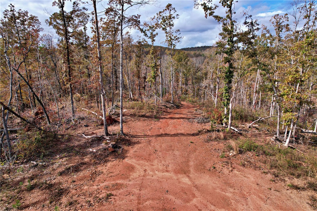 0000 Moorefield Memorial Highway, Pickens, South Carolina image 12