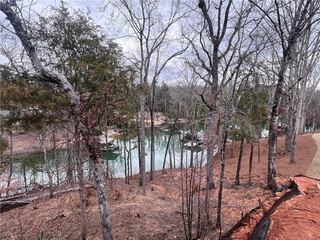 513 Rosedale Way, Seneca, South Carolina image 27