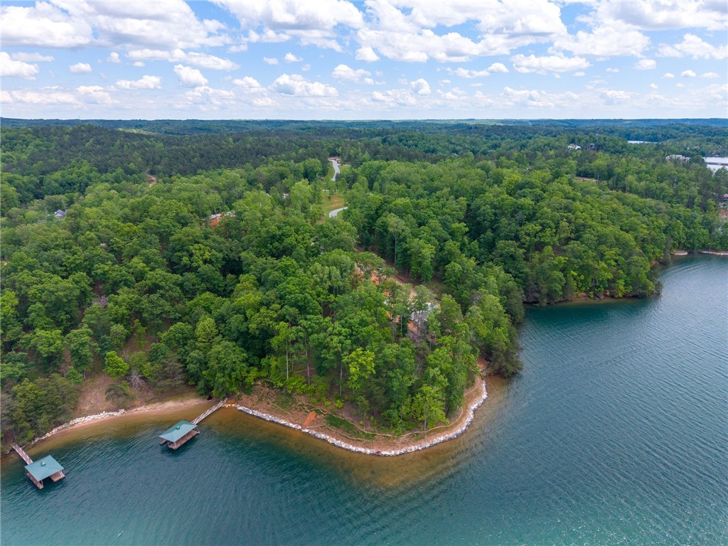 233 Sandy Hollow Court, Six Mile, South Carolina image 4