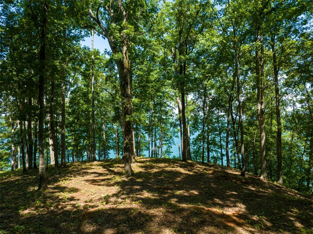 233 Sandy Hollow Court, Six Mile, South Carolina image 12
