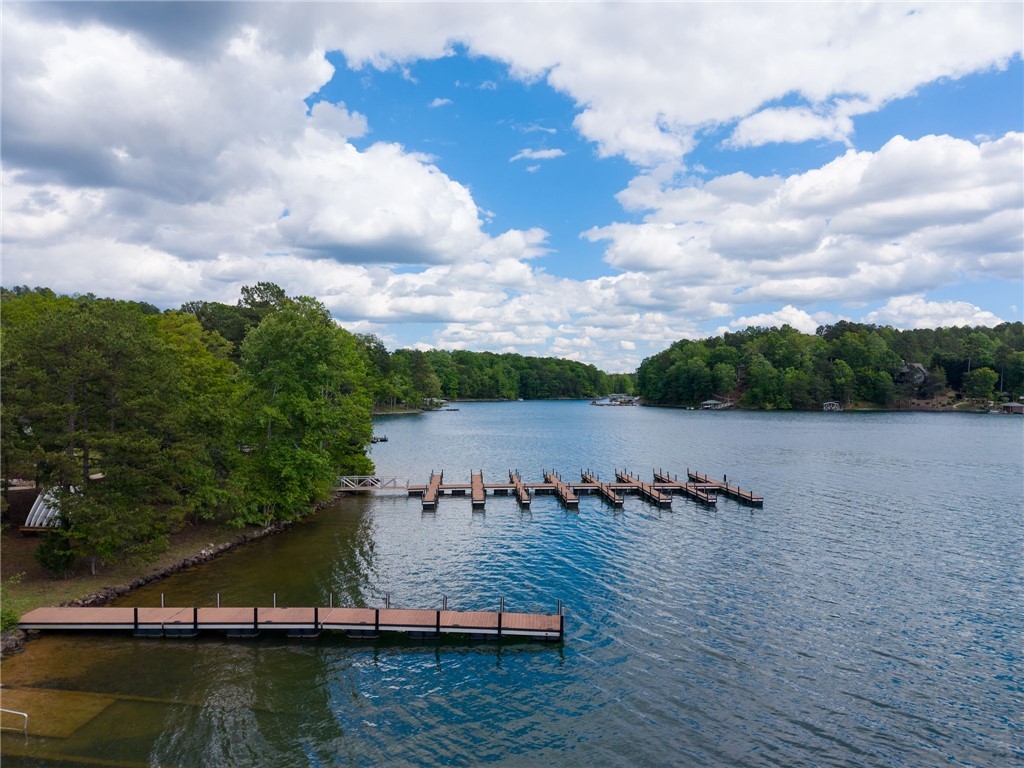 233 Sandy Hollow Court, Six Mile, South Carolina image 20