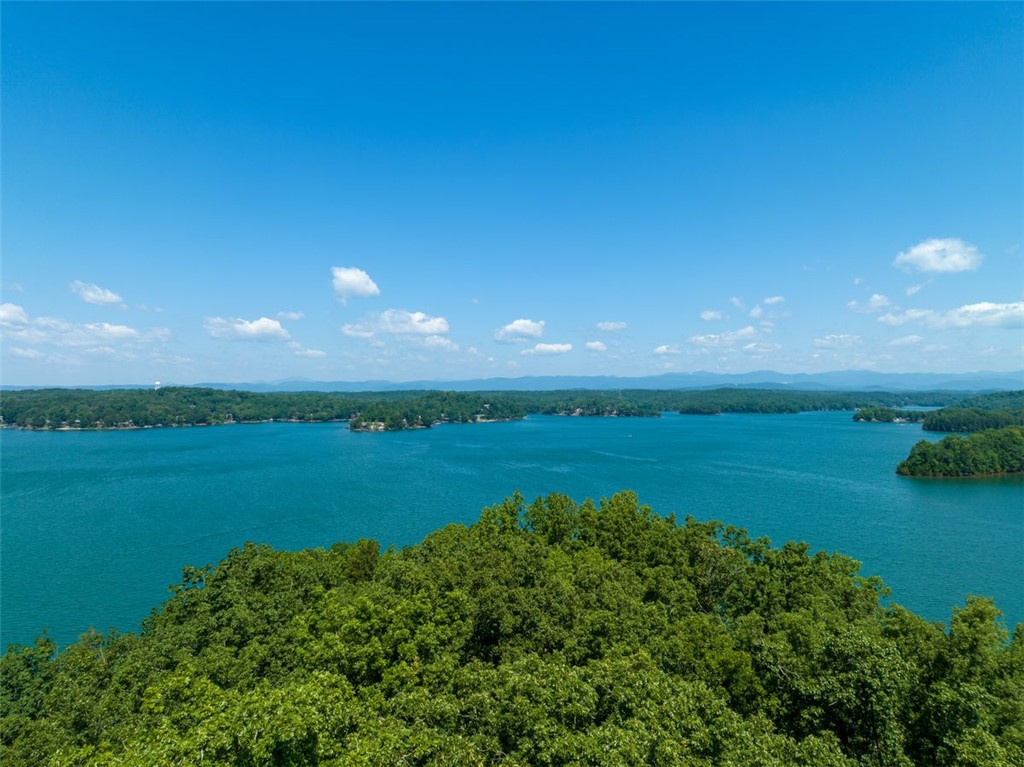 233 Sandy Hollow Court, Six Mile, South Carolina image 14