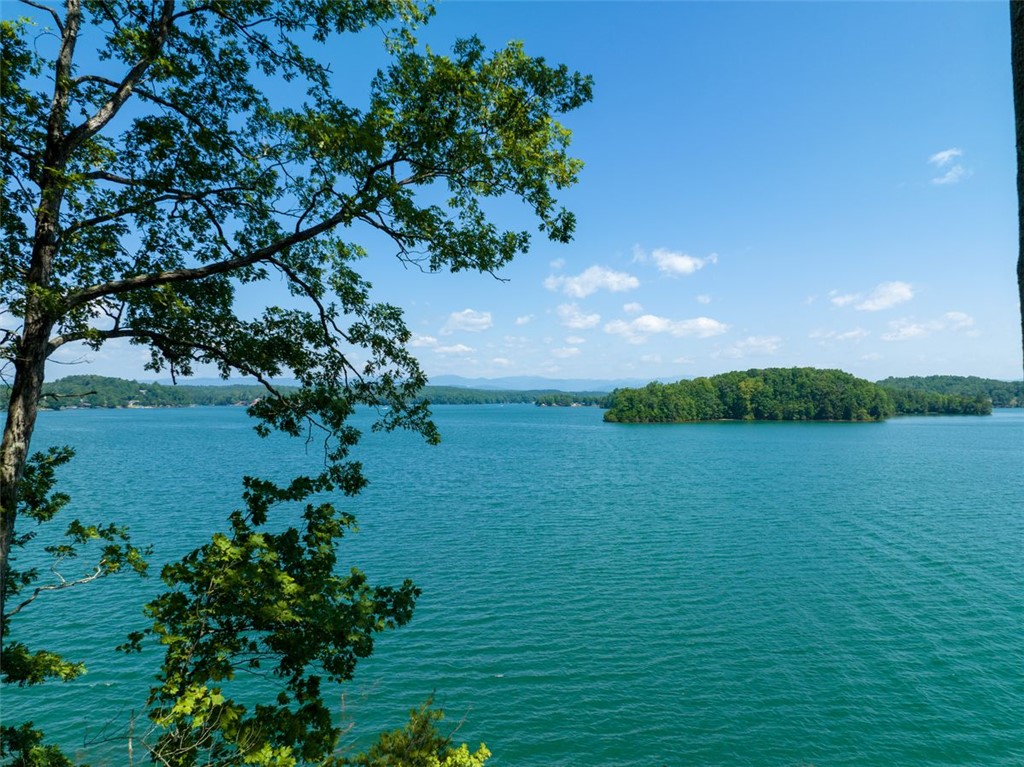 233 Sandy Hollow Court, Six Mile, South Carolina image 3