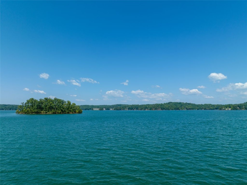 233 Sandy Hollow Court, Six Mile, South Carolina image 16