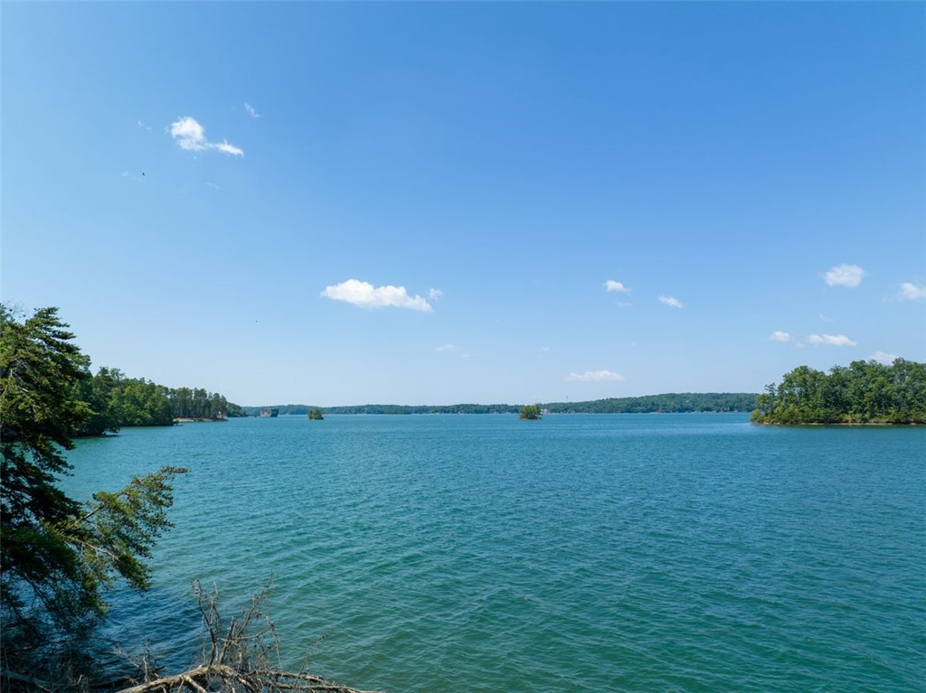233 Sandy Hollow Court, Six Mile, South Carolina image 15