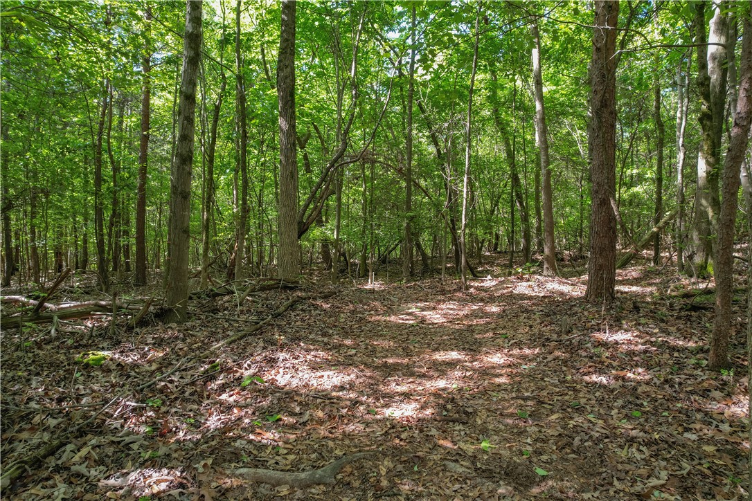 737/738 Fairway Lane, Westminster, South Carolina image 3
