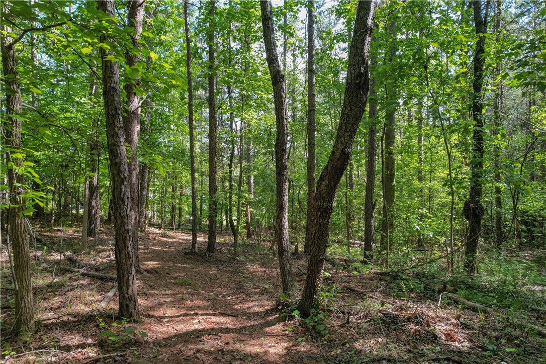 737/738 Fairway Lane, Westminster, South Carolina image 4