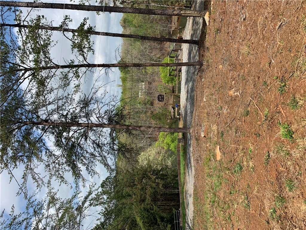 159 Overbrook Road, Abbeville, South Carolina image 3