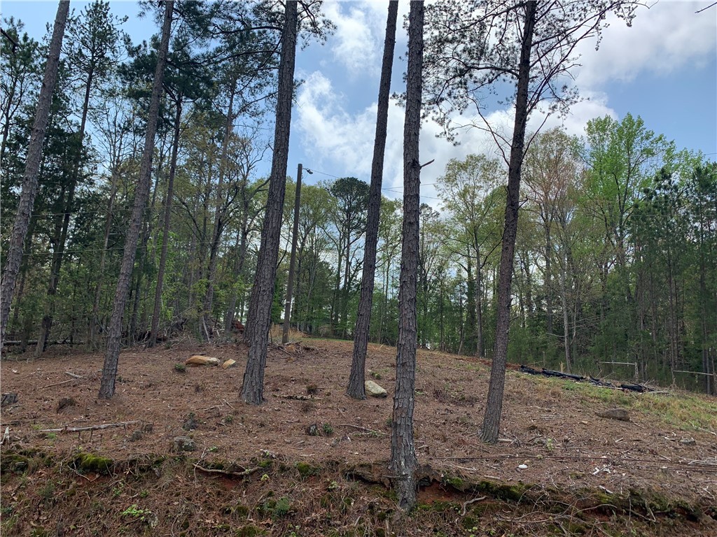 159 Overbrook Road, Abbeville, South Carolina image 2