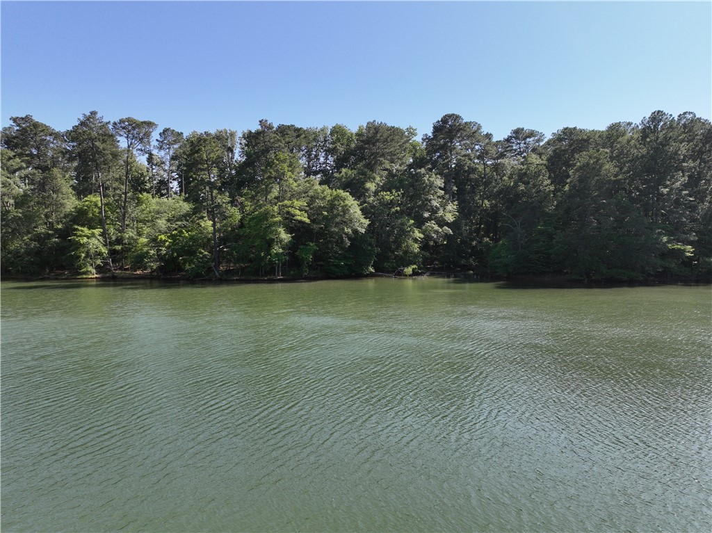 2199 Denver Road, Anderson, South Carolina image 21