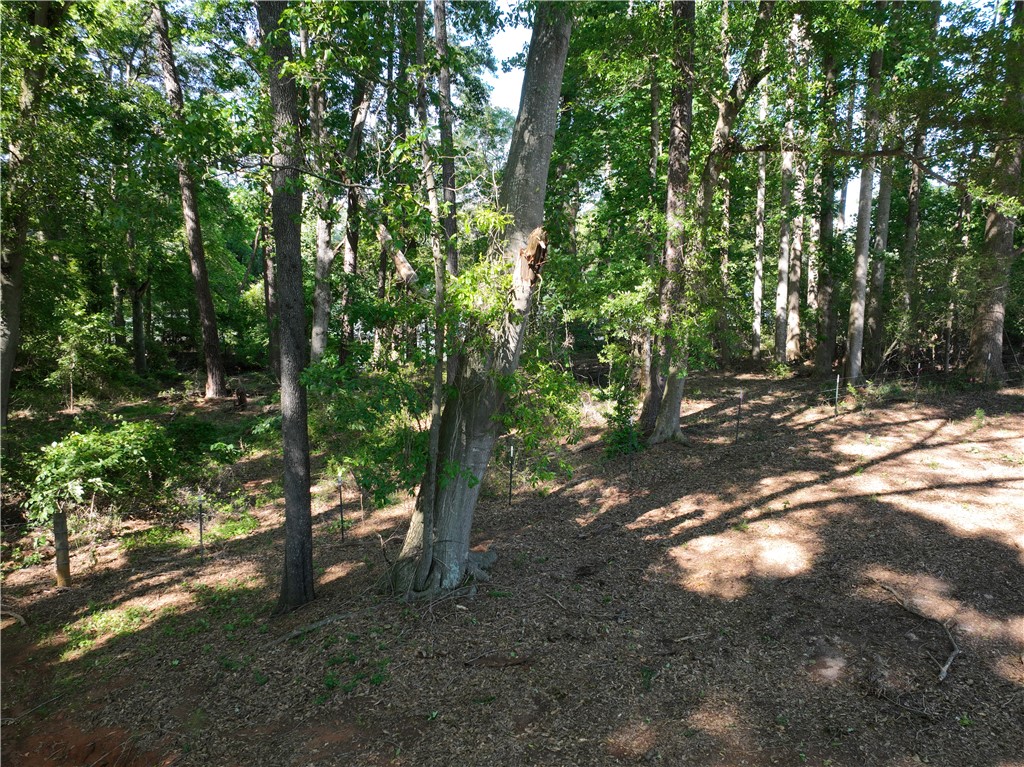 2199 Denver Road, Anderson, South Carolina image 11
