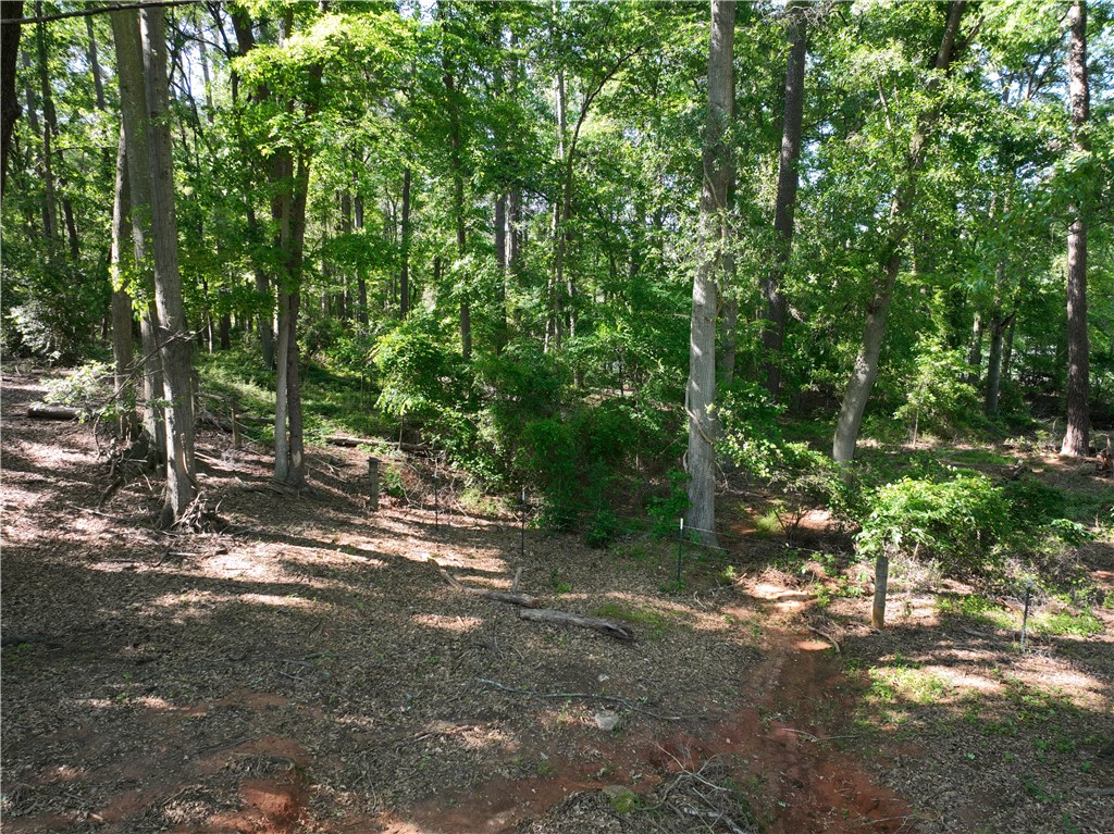 2199 Denver Road, Anderson, South Carolina image 10