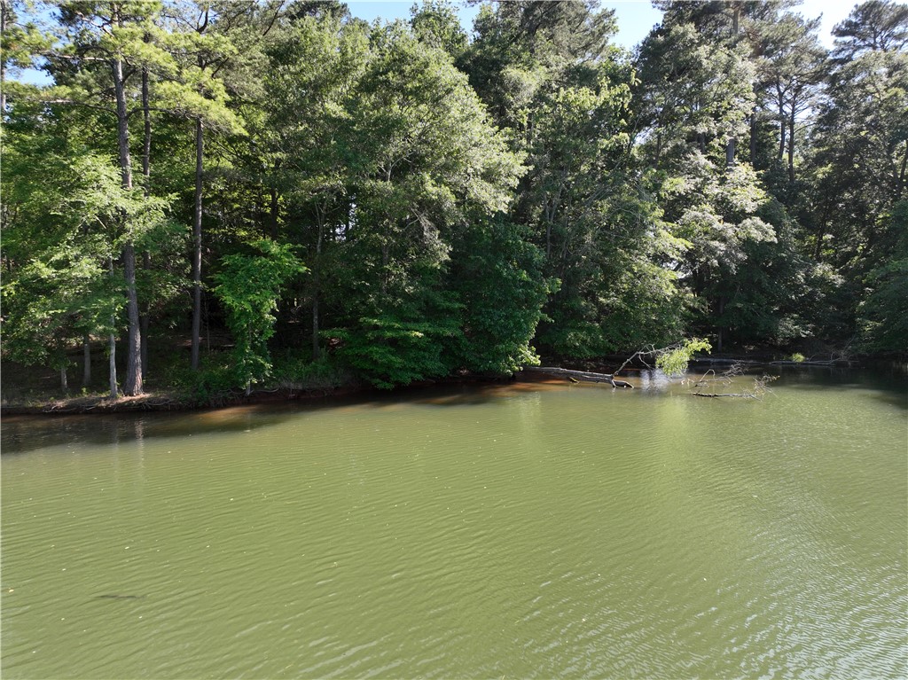 2199 Denver Road, Anderson, South Carolina image 22