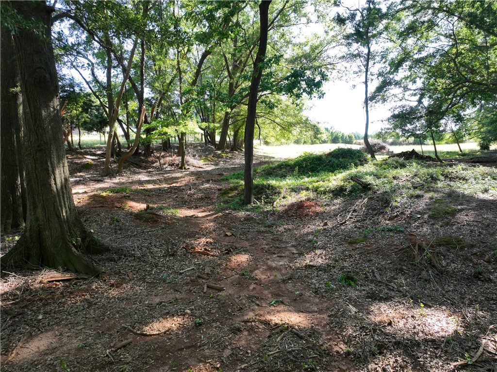 2199 Denver Road, Anderson, South Carolina image 13