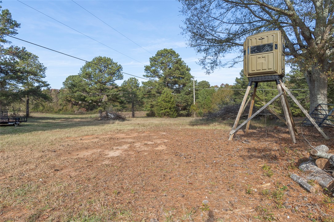 909 Double Springs Road, Townville, South Carolina image 43