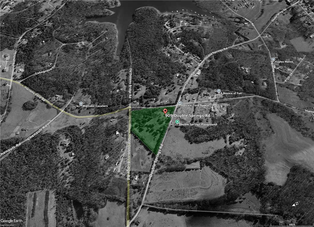 909 Double Springs Road, Townville, South Carolina image 48