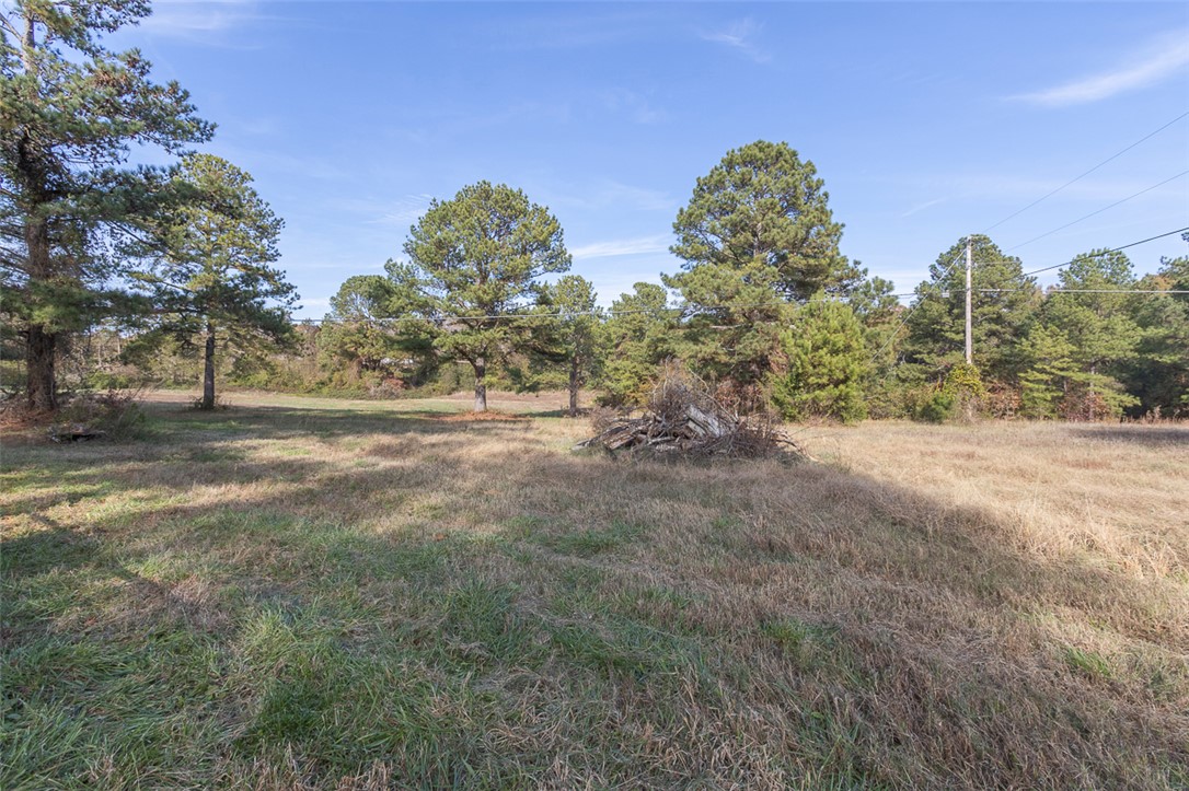 909 Double Springs Road, Townville, South Carolina image 42