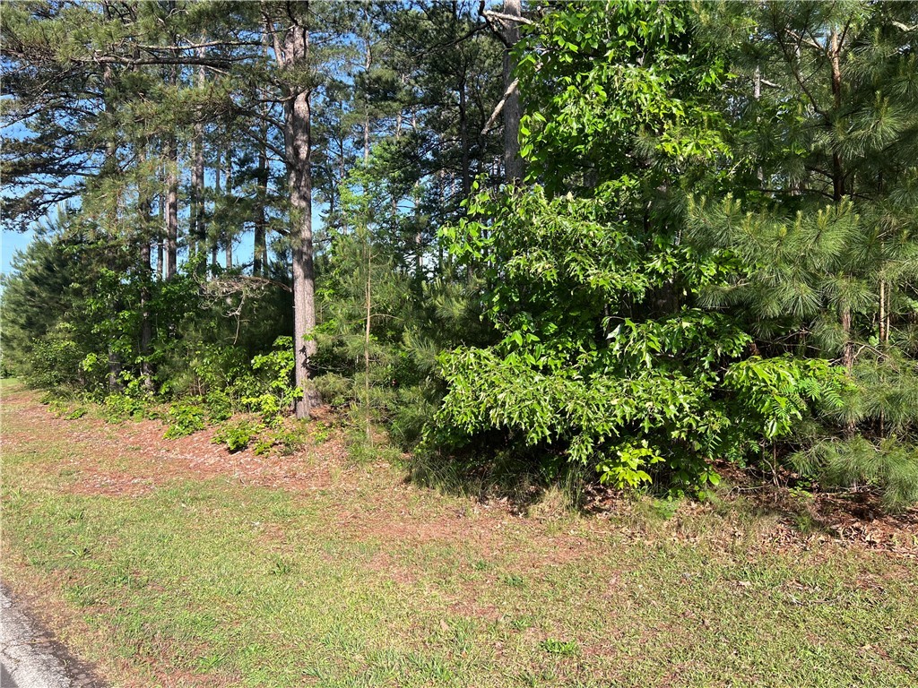 00 Seed Farm Road, Westminster, South Carolina image 7
