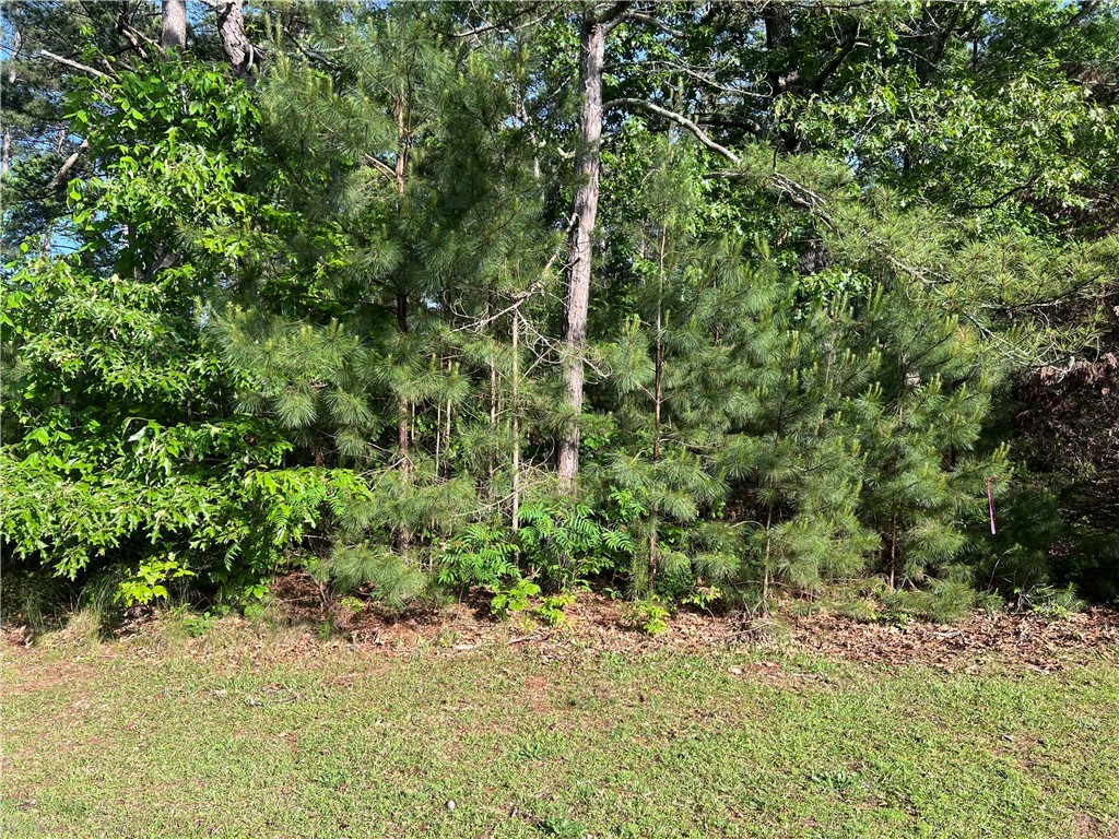 00 Seed Farm Road, Westminster, South Carolina image 6