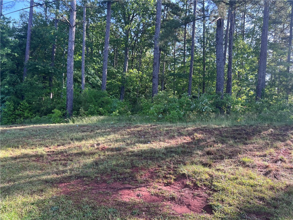 00 Seed Farm Road, Westminster, South Carolina image 5