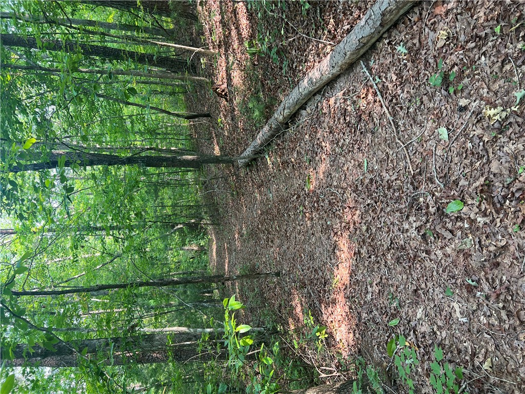 00 Jess Crenshaw Drive, Salem, South Carolina image 4
